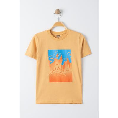 3-7 Yaş Baskılı Erkek Tişört Camel - 224127.1576.