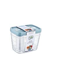  Set of 3 Deep Trend Storage Containers 3 X 2.2 L-02 0991