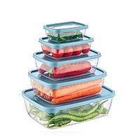  Rectangular Trend Storage Set of 5 ( 0.3+0.6+1,2+2+3 L )-02 1013