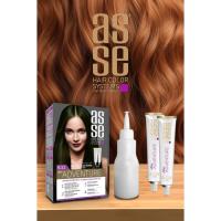 6.11 Natural Olive Yellow 50+50ml Set Paint