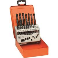 AEG HSS Metal Matkap Ucu Set 19 Parça