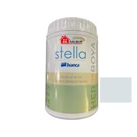 Bianca Stella 1911 Kepenek Su Bazlı Saf Akrilik Boya 1 Litre