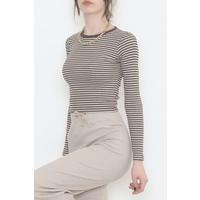 Crew Neck Striped Body Beige Brown - 12319.1567.