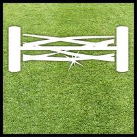 Einhell GE-HM 18/38 Li-Solo көгал шапқыш