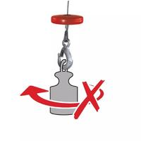 Einhell TC EH 250 Elektrikli Vinç 125-250 Kg