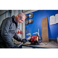 Einhell TC BG 150 B Taş Motoru 350 Watt