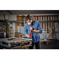 Einhell TC MG 250 CE Raspalama Makinası 250 Watt