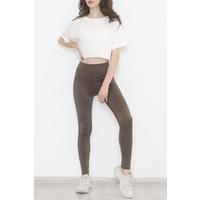 Shiny Diving Tights Brown - 12445.1778.