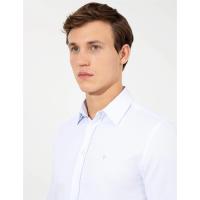 Pierre Cardin  Light Blue Slim Fit Dobby Classic Shirt 1523517.VR003