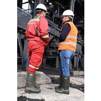 Pollyboot Vega 36 Numara Çelik Burunlu Çizme Poliüratan