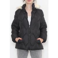 Rio Short Coat Black - 6115.1555.