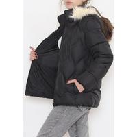 Rio Short Coat Black - 6115.1555.